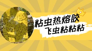 开元游戏大厅app·(中国集团)官方网站